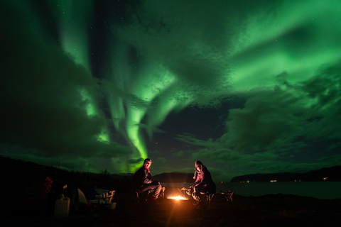 Tromsø: Adult Only Aurora hunt with Citizen Science