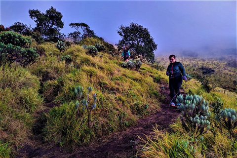 Von Yogyakarta aus: Berg Merbabu TageswanderungMount Merbabu Tageswanderung