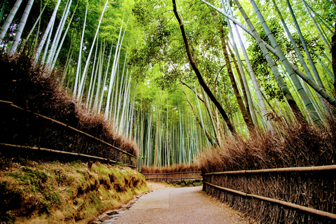 Kyoto: Arashiyama und Miyama Tagestour mit Tofu-Küche