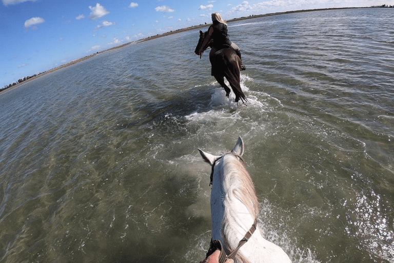 Beach and Village Horseback Ride in Djerba