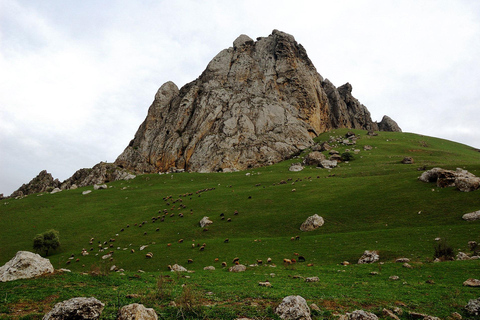 From Baku: Pink Lake, Beshbarmaq & Candy Cane Mountains Tour