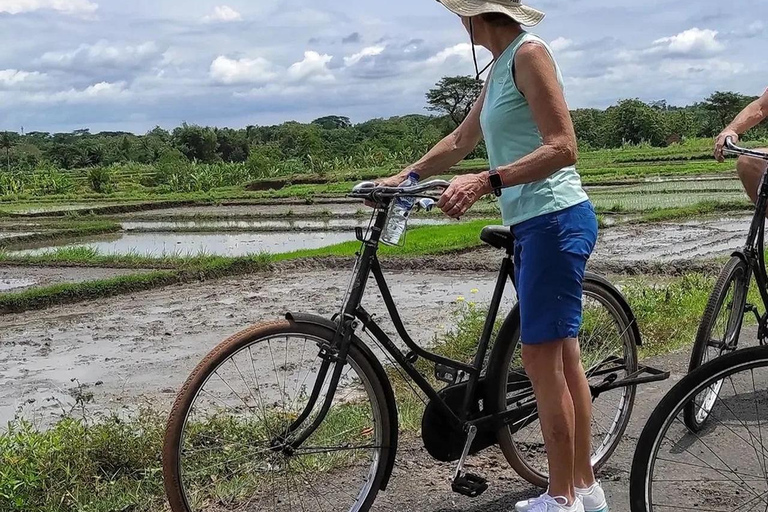Yogyakarta: Guided Cycling Tour Authentic Javanese Village