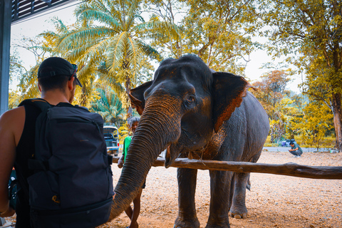 Phuket: Dagvullende tour met Phuket stad, tempels en apen