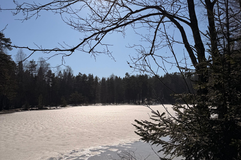 Oslo’s Most Beautiful Fjord Views - light hike version