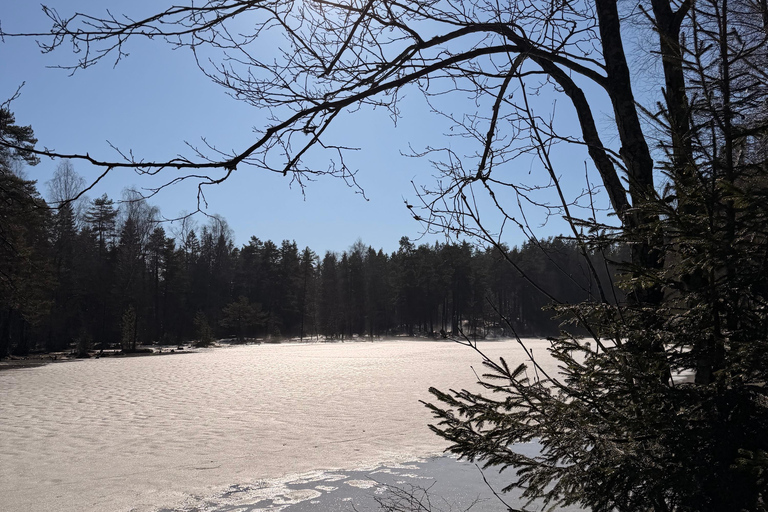 Oslo’s Most Beautiful Fjord Views - light hike version