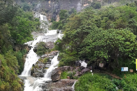 Desde - Induruwa / Maha Induruwa / Kosgoda Excursión de un día a Ella