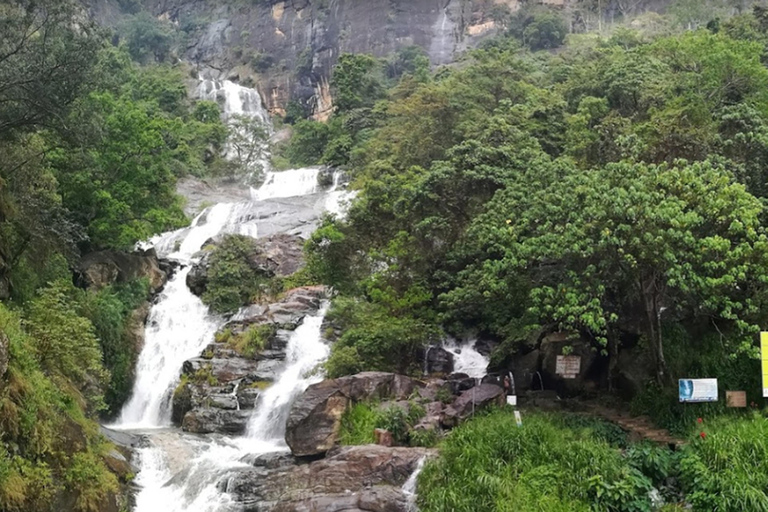 De - Induruwa / Maha Induruwa / Kosgoda Viagem de 1 dia para Ella