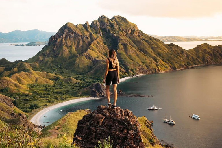 Six Wonders of Komodo: Premium Speedboat Day Cruise