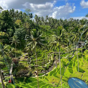 Ubud Waterfall, Tirta Empul Temple And Tegalalang Rice Field 