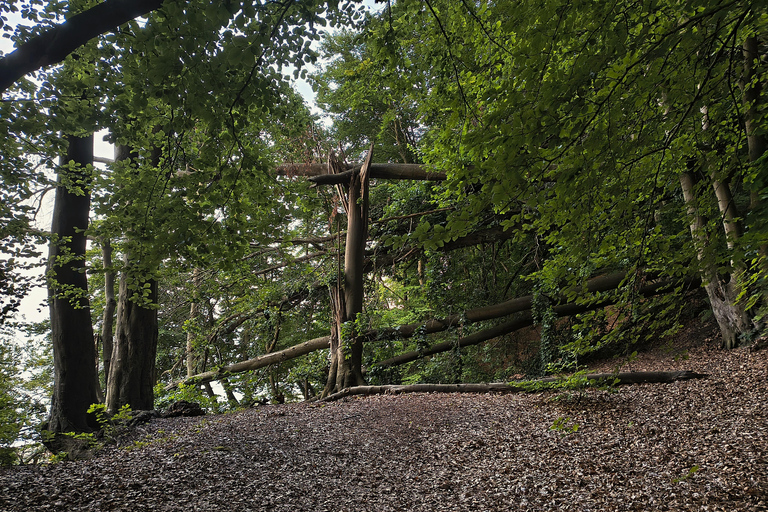 Gdynia: Forest, Cliff, and Beach Guided Walking Tour