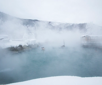 Ganztagestour Eismuseum und Chena Hot Springs