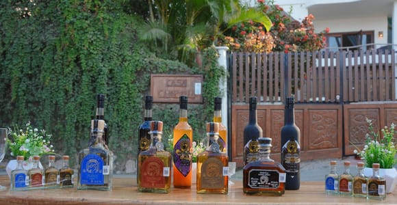 Sayulita: Tequila Tasting