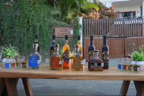 Sayulita: Tequila Tasting