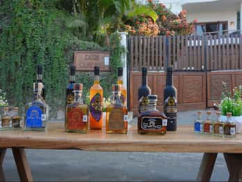 Sayulita: Tequila Tasting