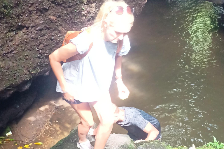 特特巴图：瀑布、香料、梯田、猴子森林特特巴图之旅、香料、瀑布、梯田、猴林