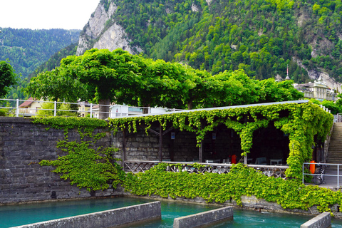 Private day trip from Interlaken to Thun, Spiez & the Lake