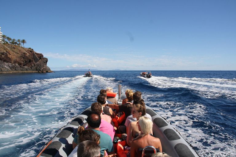 Boat Trip - Ponta de São Lourenço + Snorkeling Snorkeling Experience - Ponta de São Lourenço