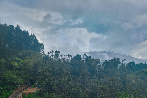 Kandy to Ella Drop: With Train Ride from Badulla