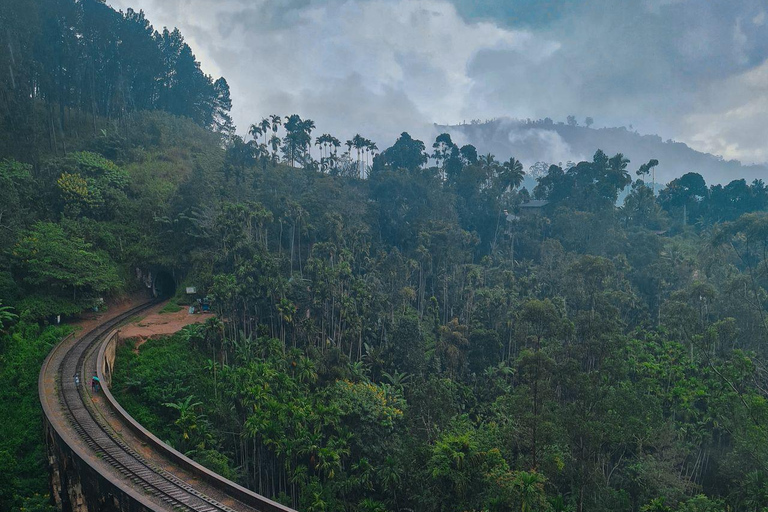 Kandy to Ella Drop: With Train Ride from Badulla