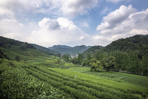 From Shanghai: West Lake Hiking Day Trip with Longjing Tea private tour option