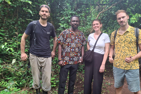 Ghana: 8-day Detty December Adventure