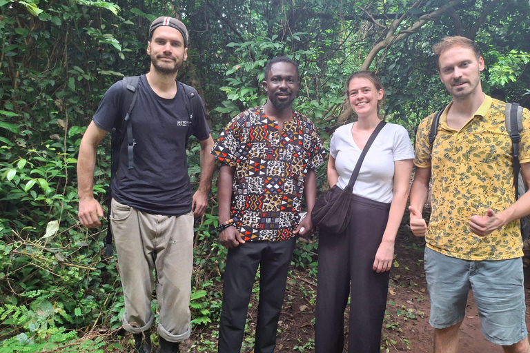 Ghana: 8-day Detty December Adventure