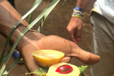 Zanzibar : Stone Town, visite des épices et de l'île prison avec déjeunerVisite privée