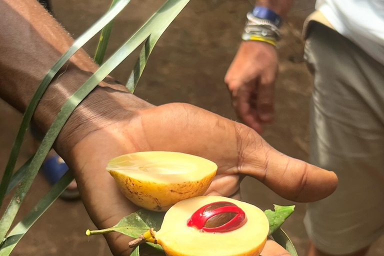 Zanzibar : Stone Town, visite des épices et de l'île prison avec déjeunerVisite privée