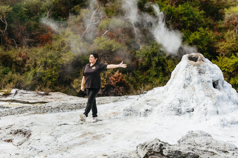 Waiotapu : billet d&#039;entrée au parc thermal et au geyser Lady KnoxWaiotapu : billet d&#039;entrée pour le parc thermal et geyser Lady Knox