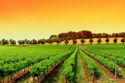 Journée en Provence, Saint-Tropez Village de Grimaud Dégustation de vinsvisite partagée : Saint Tropez, village de Grimaud, dégustation de vins.