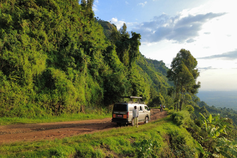 Bwindi gorilla trekking with Queen Elizabeth National Park