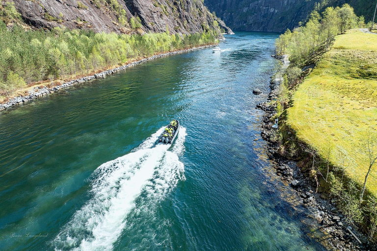 Bergen: Osterøy E-Bike Tour, Fjord Safari & Lunch