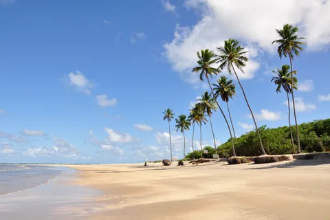 Recife: Passeio a Porto de Galinhas
