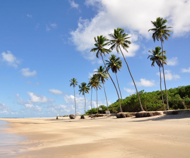 Visita al Porto de Galinhas