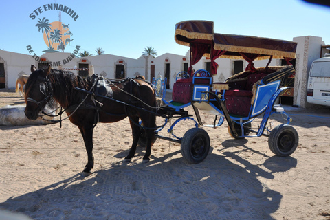 Djerba: Carriage Ride to Crocodil Park.