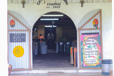 Port Vila: Zipline, Tanna Coffee Factory & Island Tour