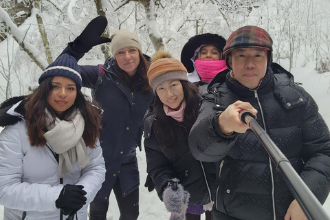 From Dresden: Winter Hike to Bohemian and Saxon Switzerland