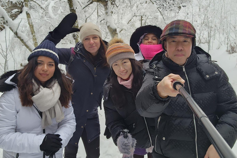 From Dresden: Winter Hike to Bohemian and Saxon Switzerland