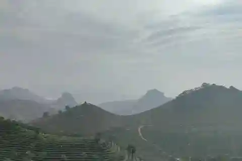 Excursión a la plantación de té de Qixianfeng en Yangshuo