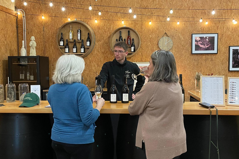 Educational hike in the Anjou vineyards Wine Hike, Private Experience