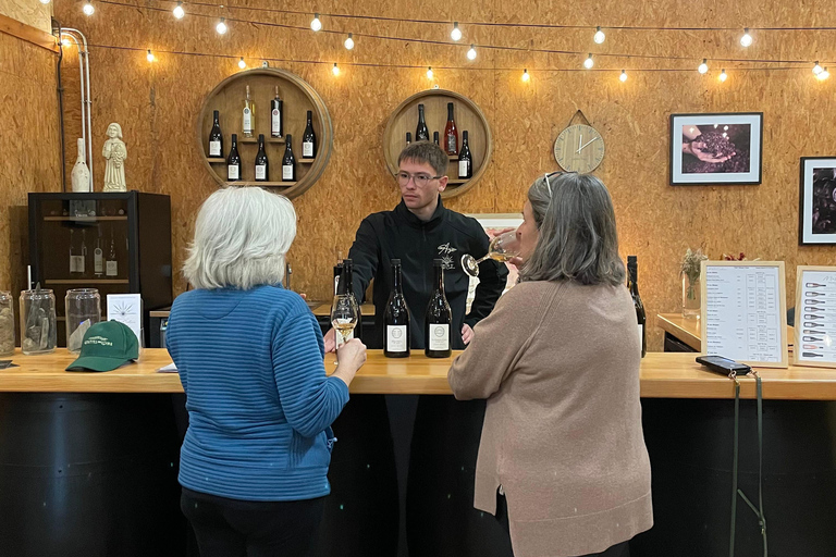 Educational hike in the Anjou vineyards Wine Hike