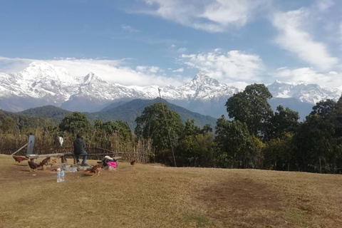 MARDI HIMAL TREK 4500 M.