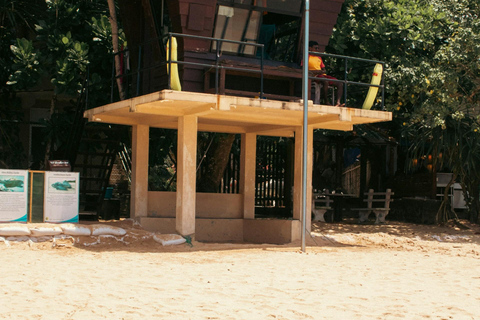 米里萨或卡尔皮蒂亚冲浪营之旅（适合初学者和专家）