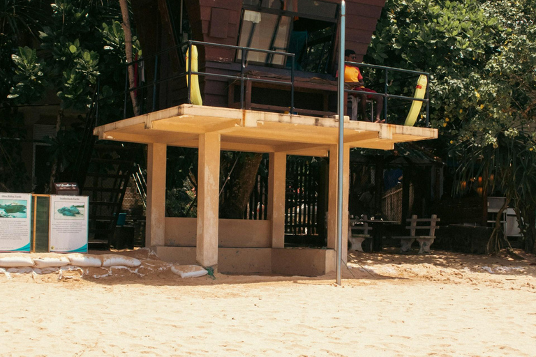 米里萨或卡尔皮蒂亚冲浪营之旅（适合初学者和专家）