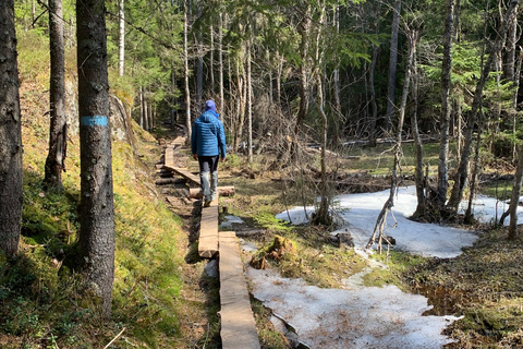 Oslo: escursione guidata nel Parco Nazionale di Østmarka con cibo cotto sul fuocoOslo: escursione guidata al Parco Nazionale di Østmarka con cibo sul fuoco