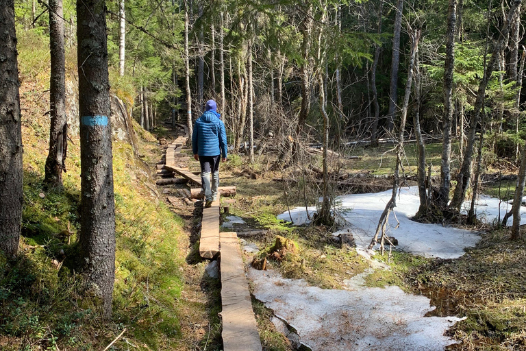 Oslo: escursione guidata nel Parco Nazionale di Østmarka con cibo cotto sul fuocoOslo: escursione guidata al Parco Nazionale di Østmarka con cibo sul fuoco