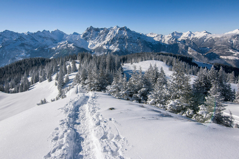 Lucerne: Äventyr med snöskovandring till Glaubenberg Langis