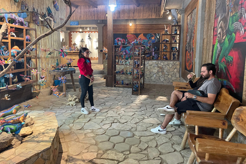 Oaxaca: taller de pintura de alebrijes con recogida del hotel