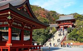 Kamakura Half day tour with a local