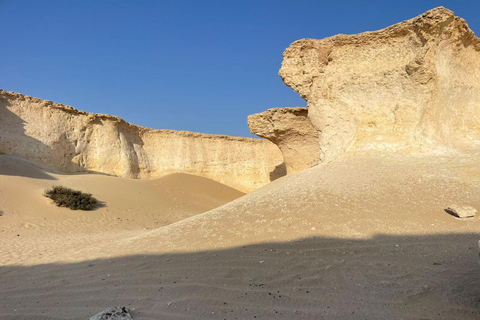 西海岸私人之旅：理查德·塞拉和沙漠奇观